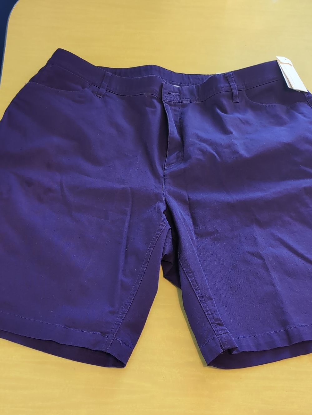 Woman's Purple Casual Shorts